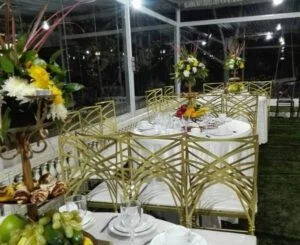 باغ عقد الف شیراز