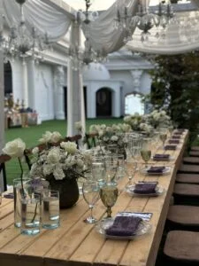 باغ تالار ویان