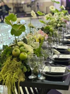 باغ تالار ویان