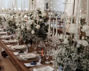 باغ تالار ویان