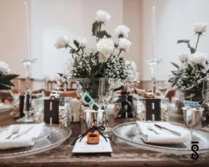 باغ تالار ویان