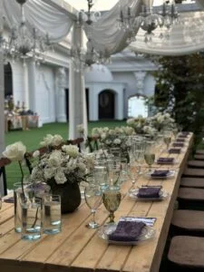 باغ تالار ویان