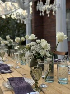 باغ تالار ویان