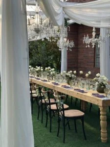 باغ تالار ویان