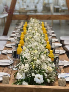 تالار پذیرایی آپادانا کرج