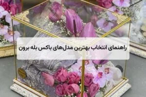 راهنمای انتخاب بهترین مدل‌های باکس بله برون